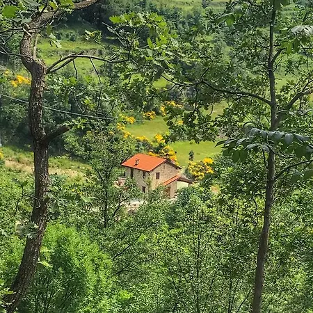 Chalet Sp24 *